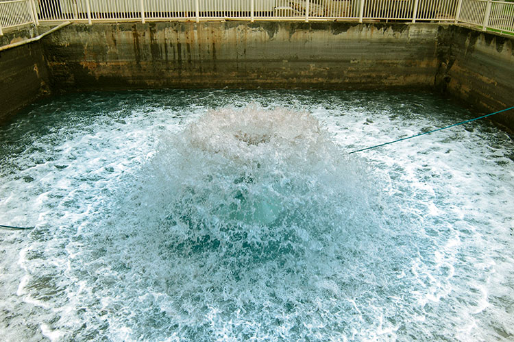 Produção Sustentável